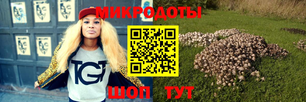 Псилоцибиновые грибы Magic Shrooms  что такое   Камышин  Галлюциногенные грибы Cubensis  Вход с VPN 